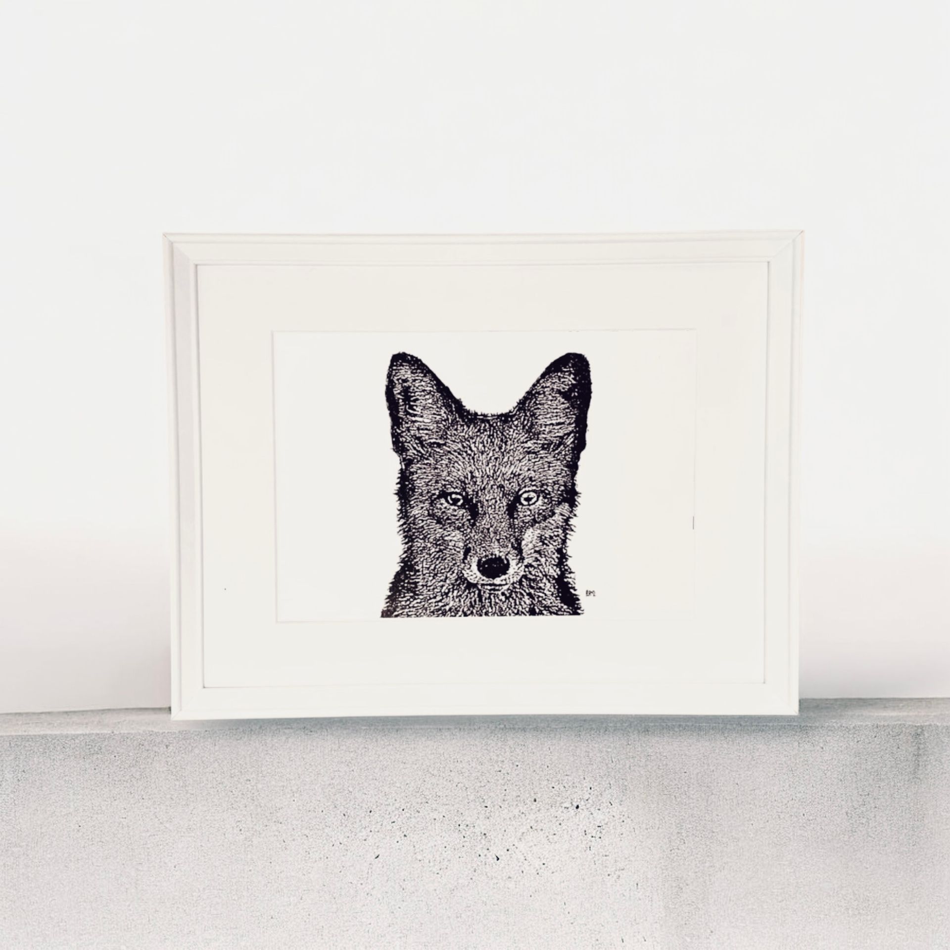 A4 Fox Head, front profile.