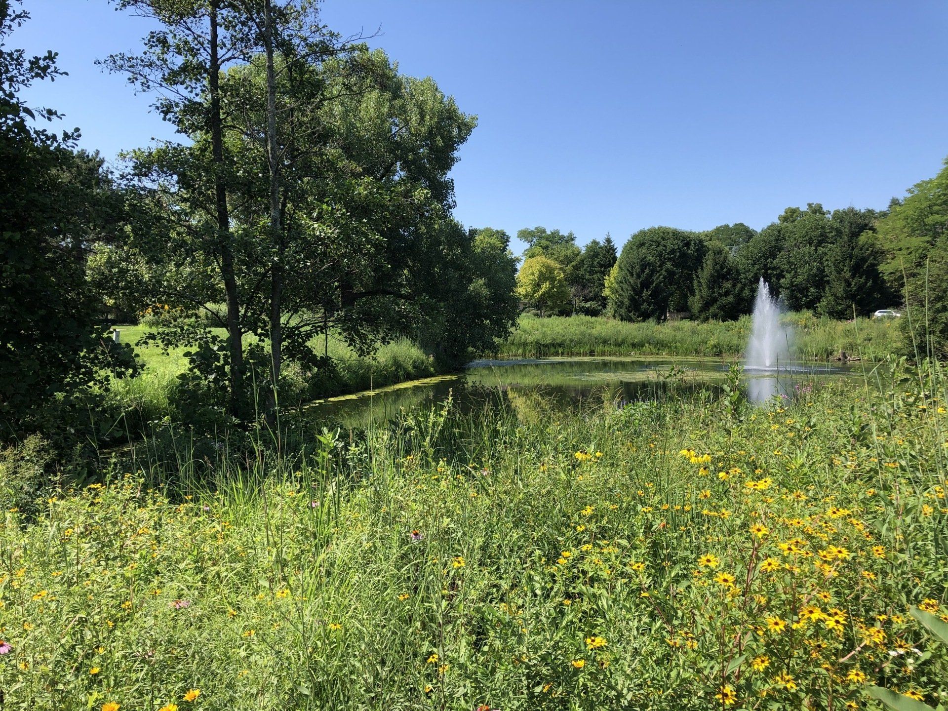 A pond with a fountain in the middle of it