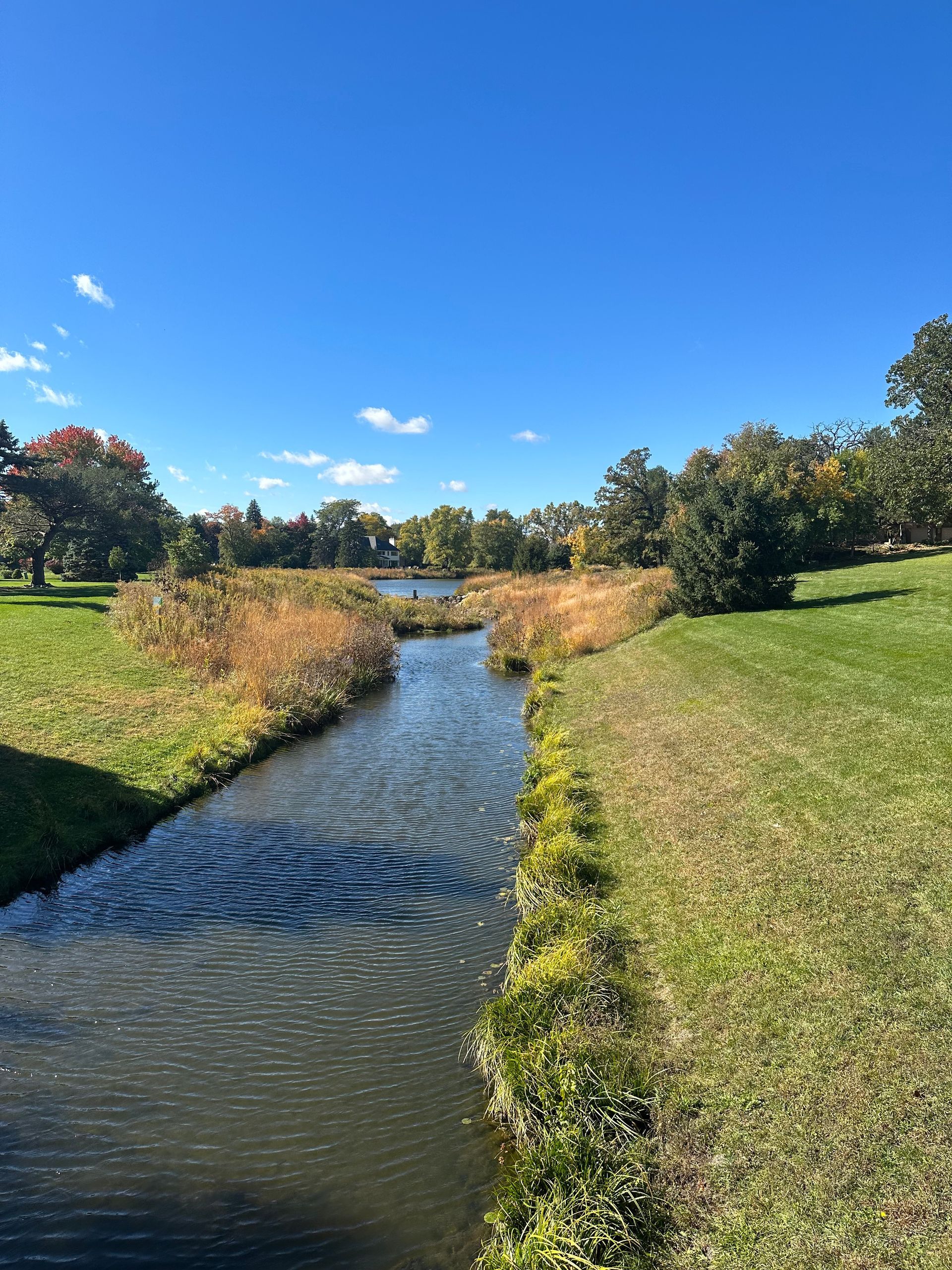 A small river runs through a park on a sunny day.