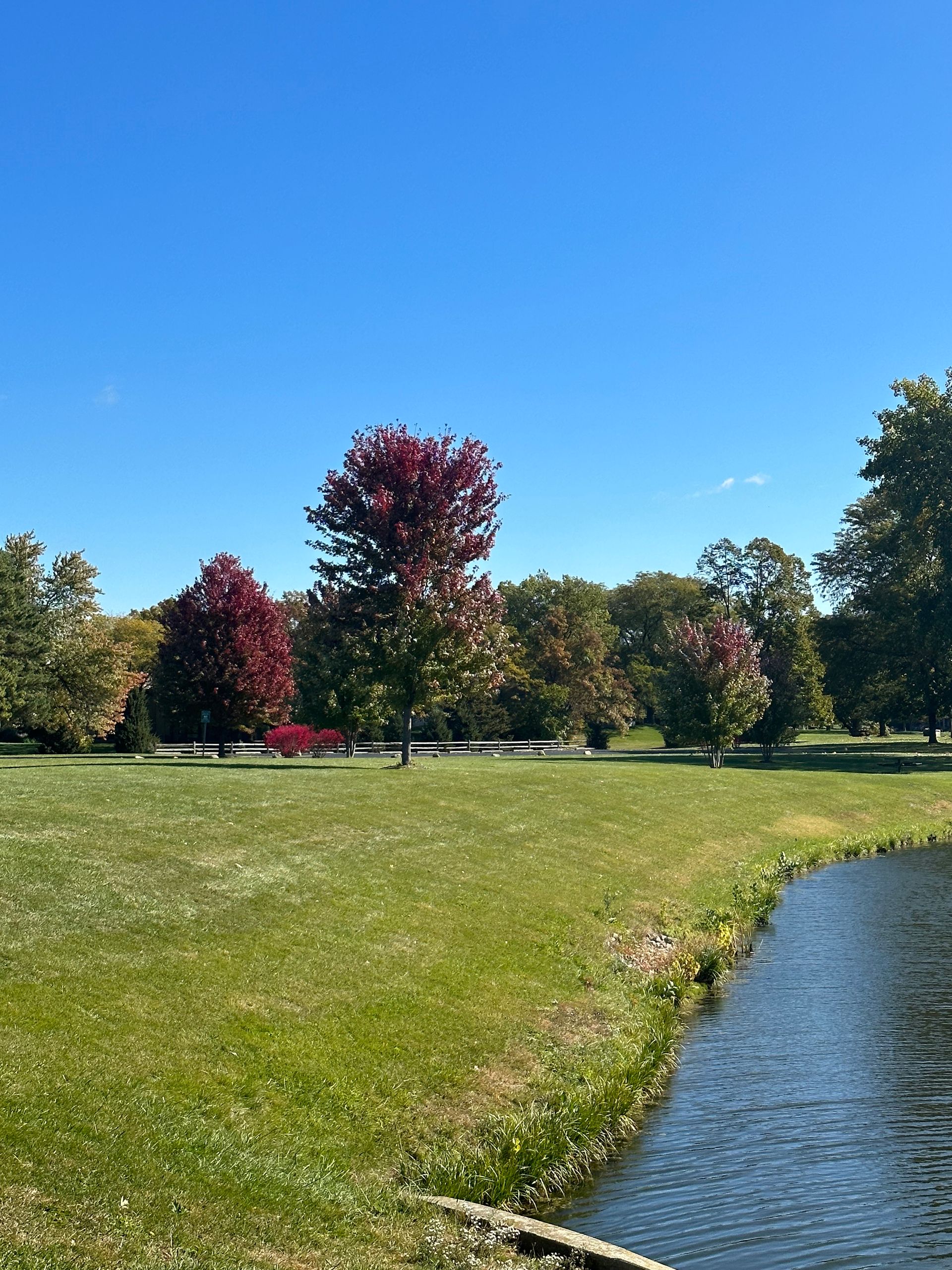 A river running through a park with trees in the background