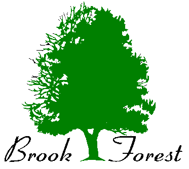 A logo for brook forest with a green tree