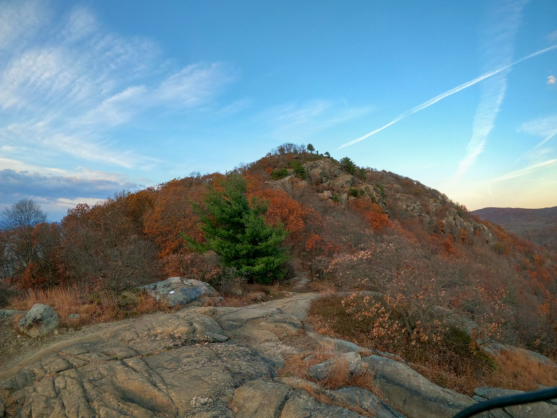a white plate topped with fish and french fries