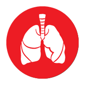 Asbestos Testing & Management — Lexington, KY — Environmental Testing and Consulting of Kentucky, LLC