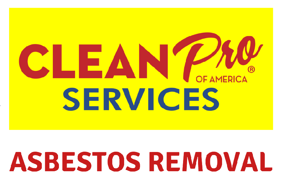 Clean Pro Services