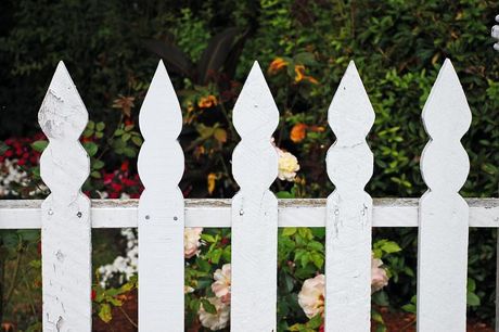 Timber spear top picket fence painted white
