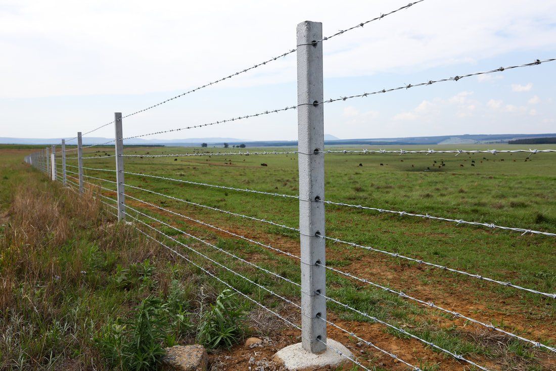 Rural barbed wire fence