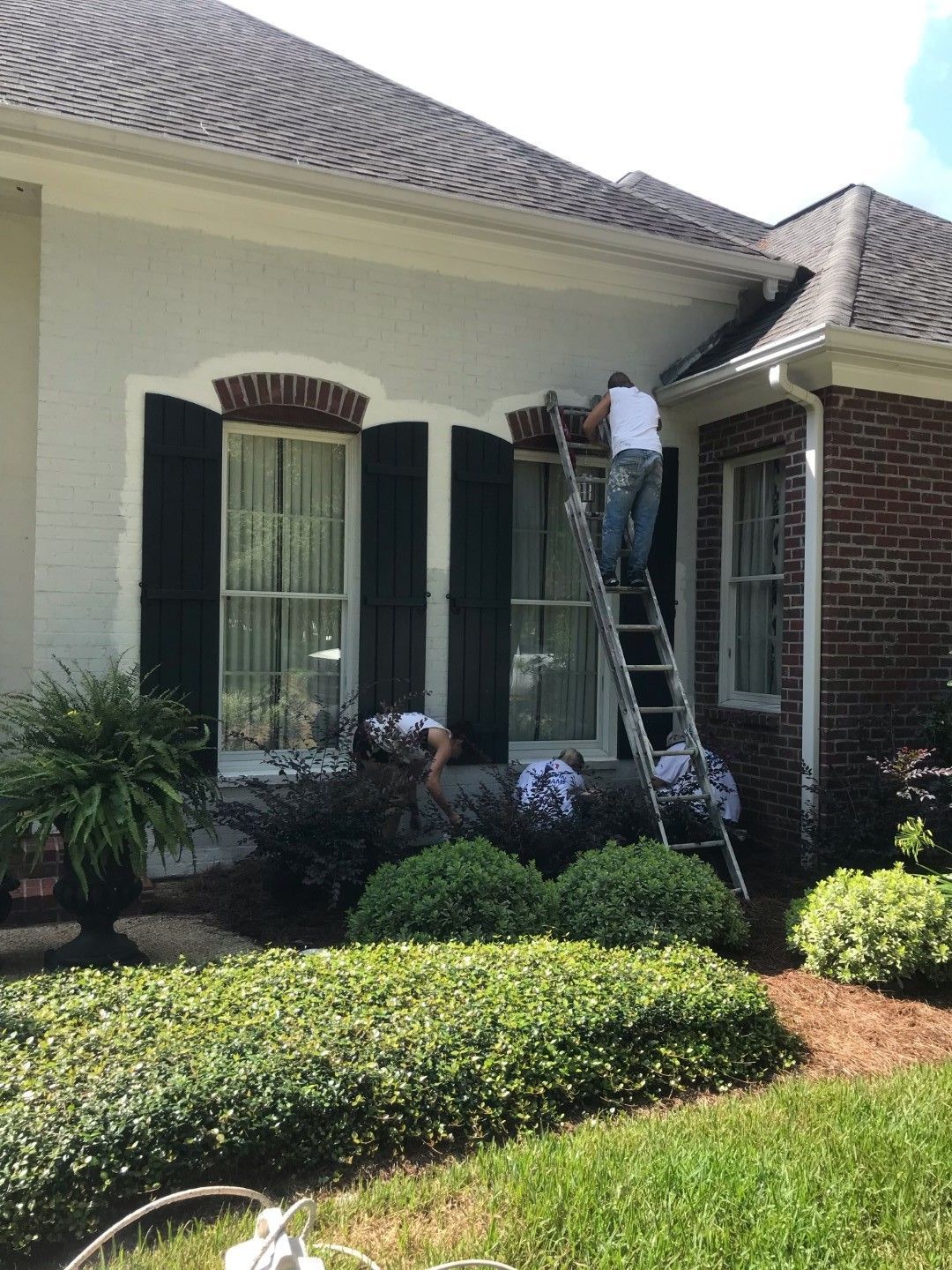 A man is standing on a ladder in front of a white house.