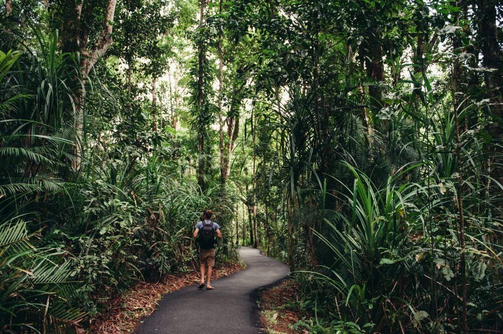 A Man Is Walking Down a Path in The Woods — Creative Events Innisfail in Babinda, QLD