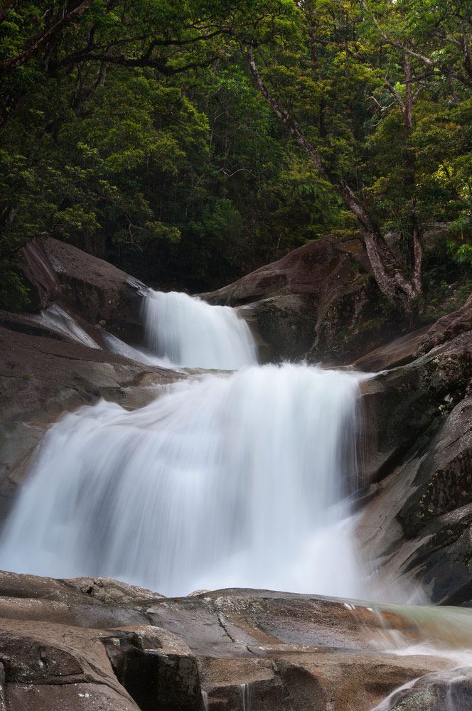 A Waterfall Is Surrounded by Rocks and Trees in The Middle of A Forest — Creative Events Innisfail in Innisfail, QLD