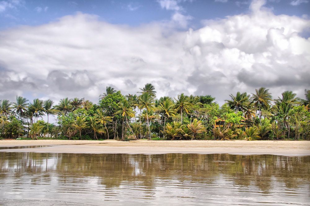 A Tropical Beach with Palm Trees and A Cloudy Sky — Creative Events Innisfail in Mission Beach, QLD
