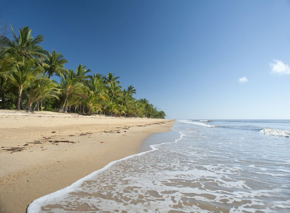 A Beach with Palm Trees and Waves Coming In — Creative Events Innisfail in Mission Beach, QLD