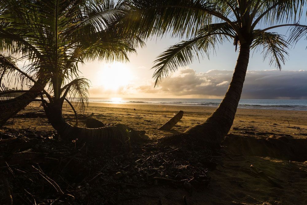 A Sunset on A Beach with Palm Trees in The Foreground — Creative Events Innisfail in Mission Beach, QLD