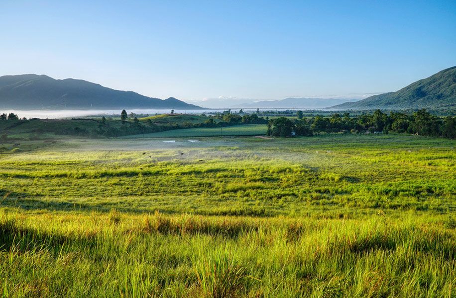 A Lush Green Field with Mountains in The Background on A Foggy Day — Creative Events Innisfail in Tully, QLD 