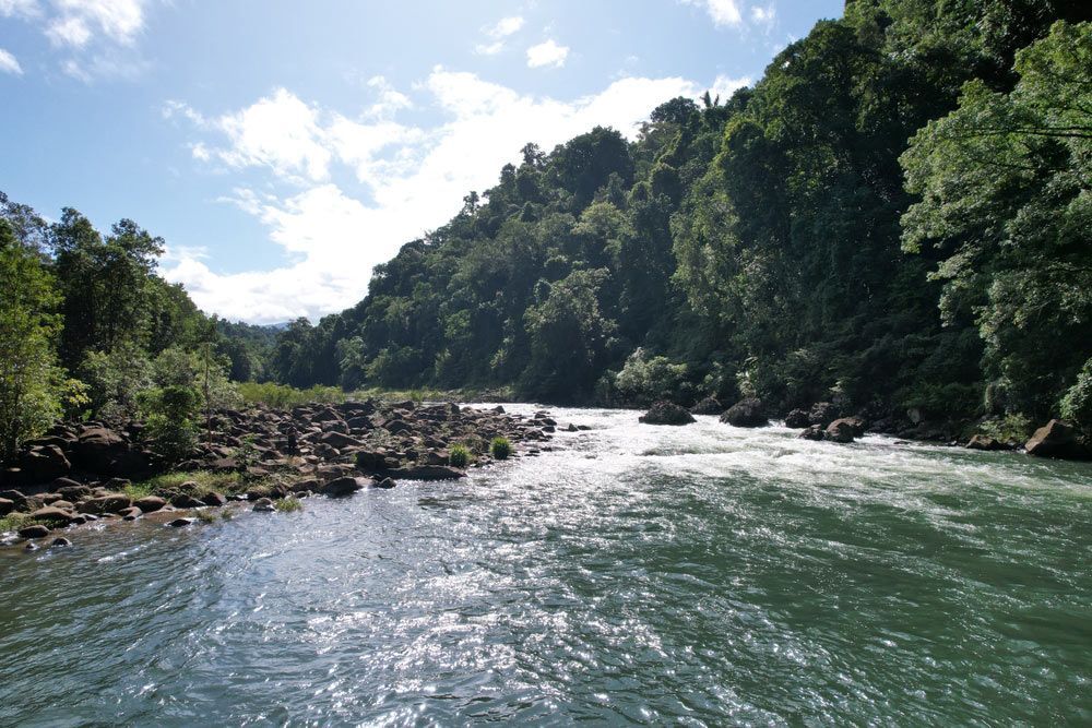 A River Surrounded by Trees and Rocks on A Sunny Day — Creative Events Innisfail in Tully, QLD