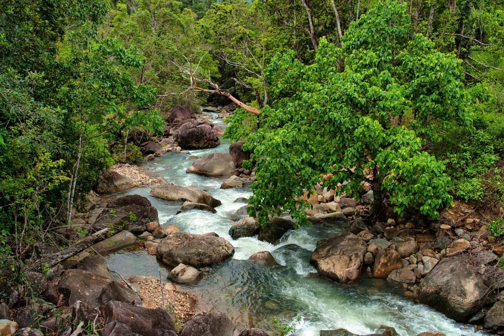 A River Flowing Through a Lush Green Forest Surrounded by Rocks and Trees — Creative Events Innisfail in Tully, QLD 