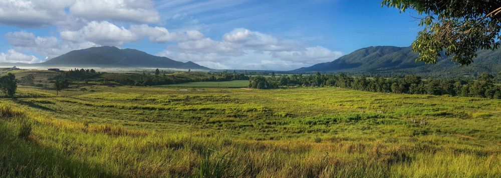 A Lush Green Field with Mountains in The Background on A Sunny Day — Creative Events Innisfail in Tully, QLD