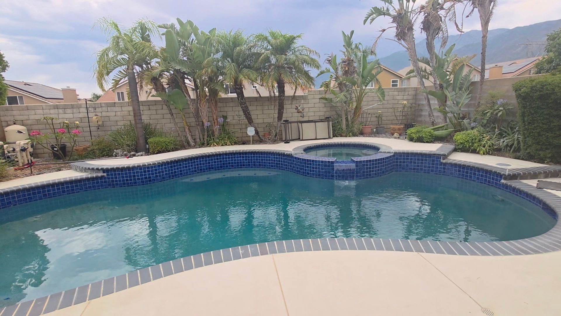 A backyard with a swimming pool and jacuzzi surrounded by palm trees, against a cloudy sky.