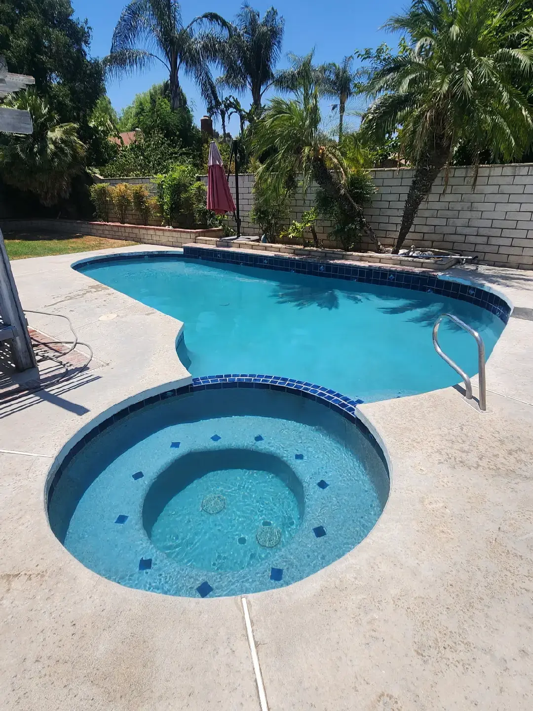 A backyard pool with a connected spa. Both are filled with turquoise water and surrounded by concrete. Palm trees and greenery are in the background.