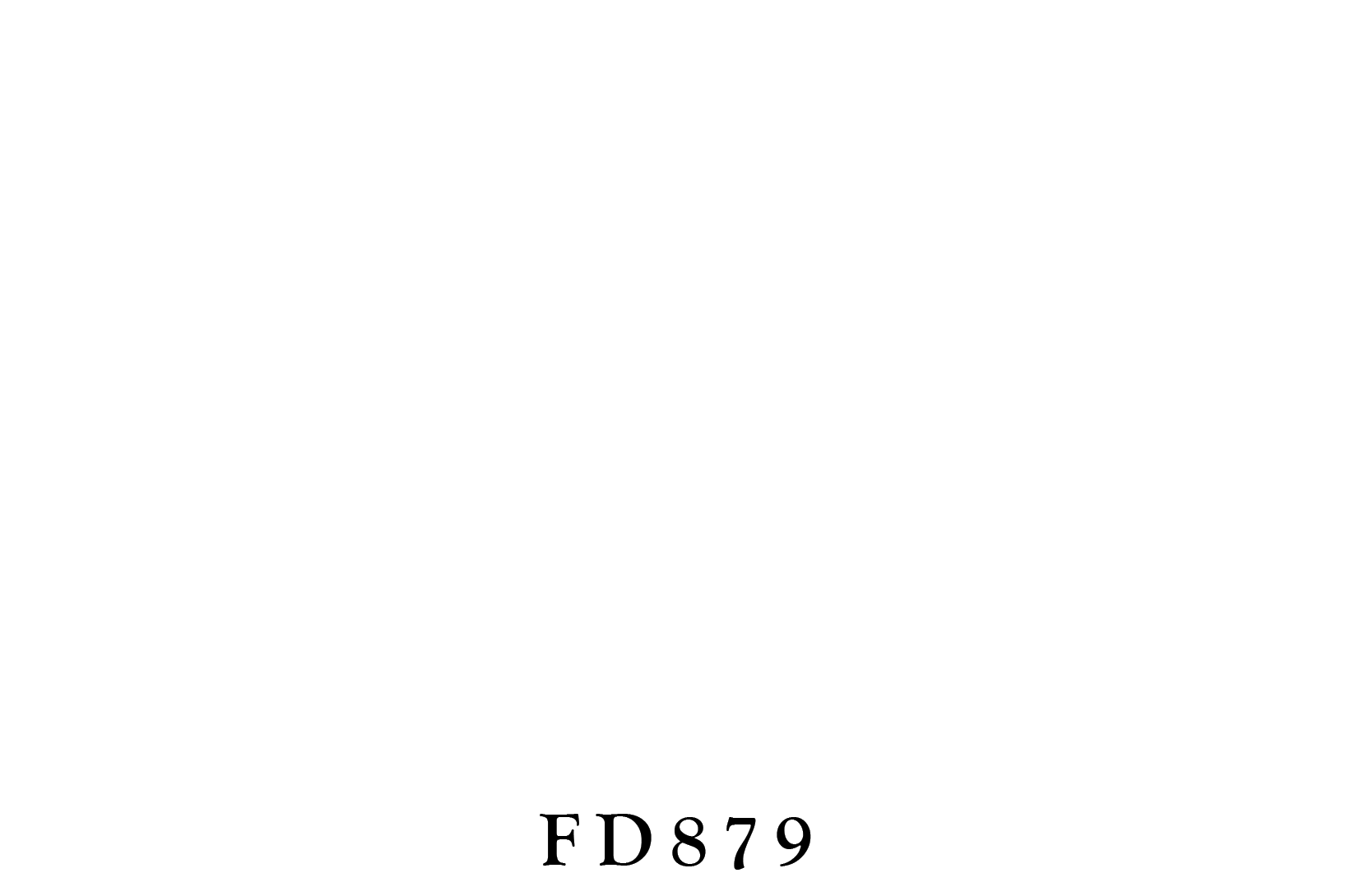 White screen with small black text &ldquo;FD879&rdquo; centered near the bottom.