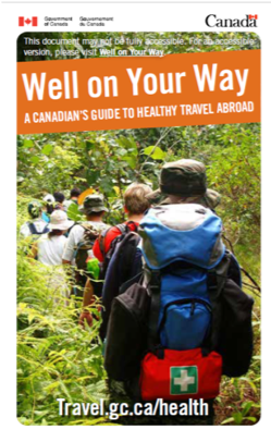 Guide to healthy travel