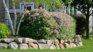 Rock Retaining Wall — Landscape Design in Annapolis, MD