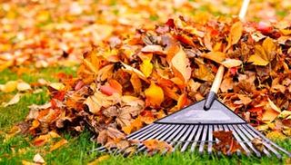 Fall leaves with rake — Landscape Design in Annapolis, MD