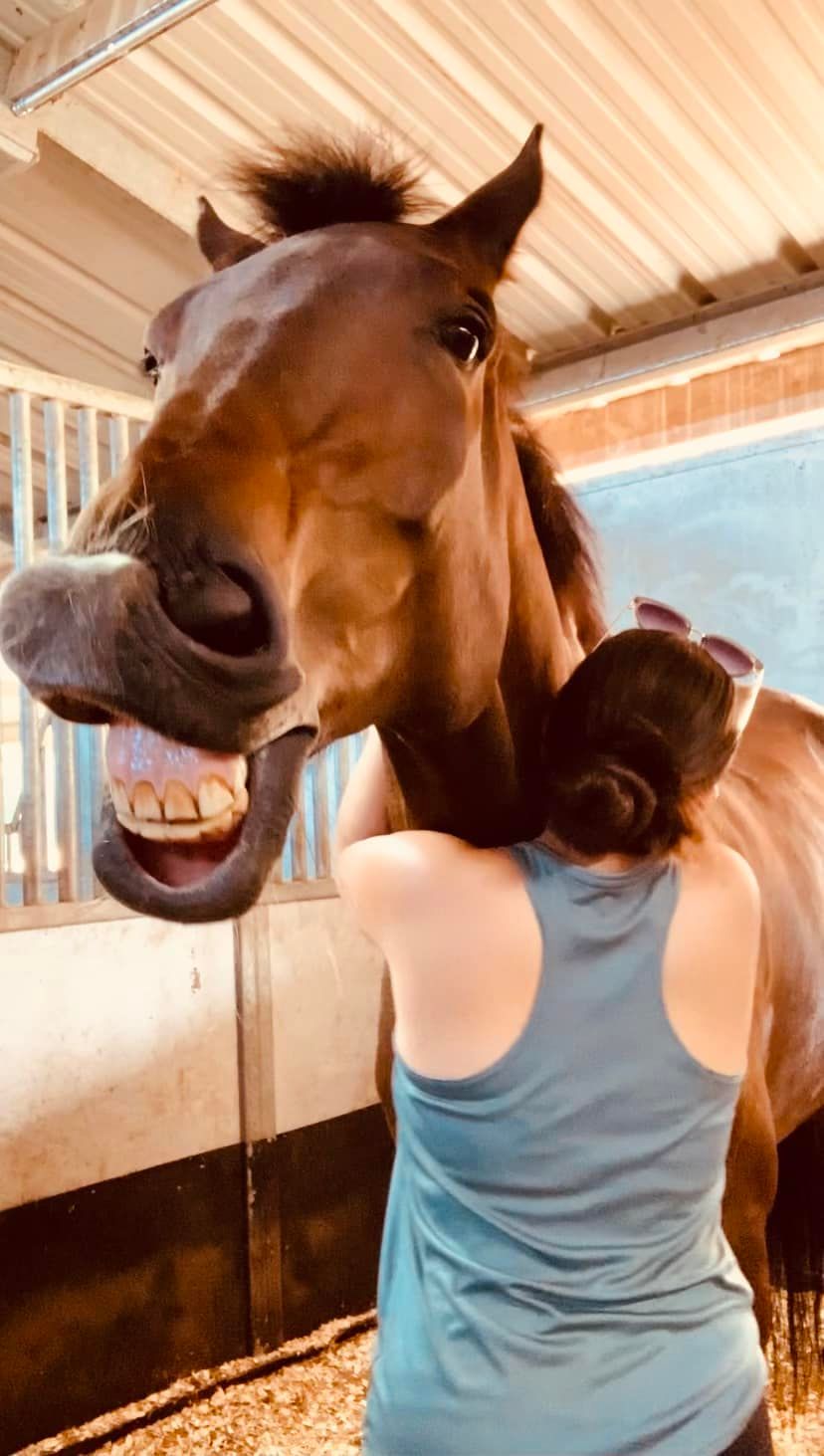 A woman hugs a brown horse in a stable. The horse is looking at the camera with its mouth open, showing its teeth.