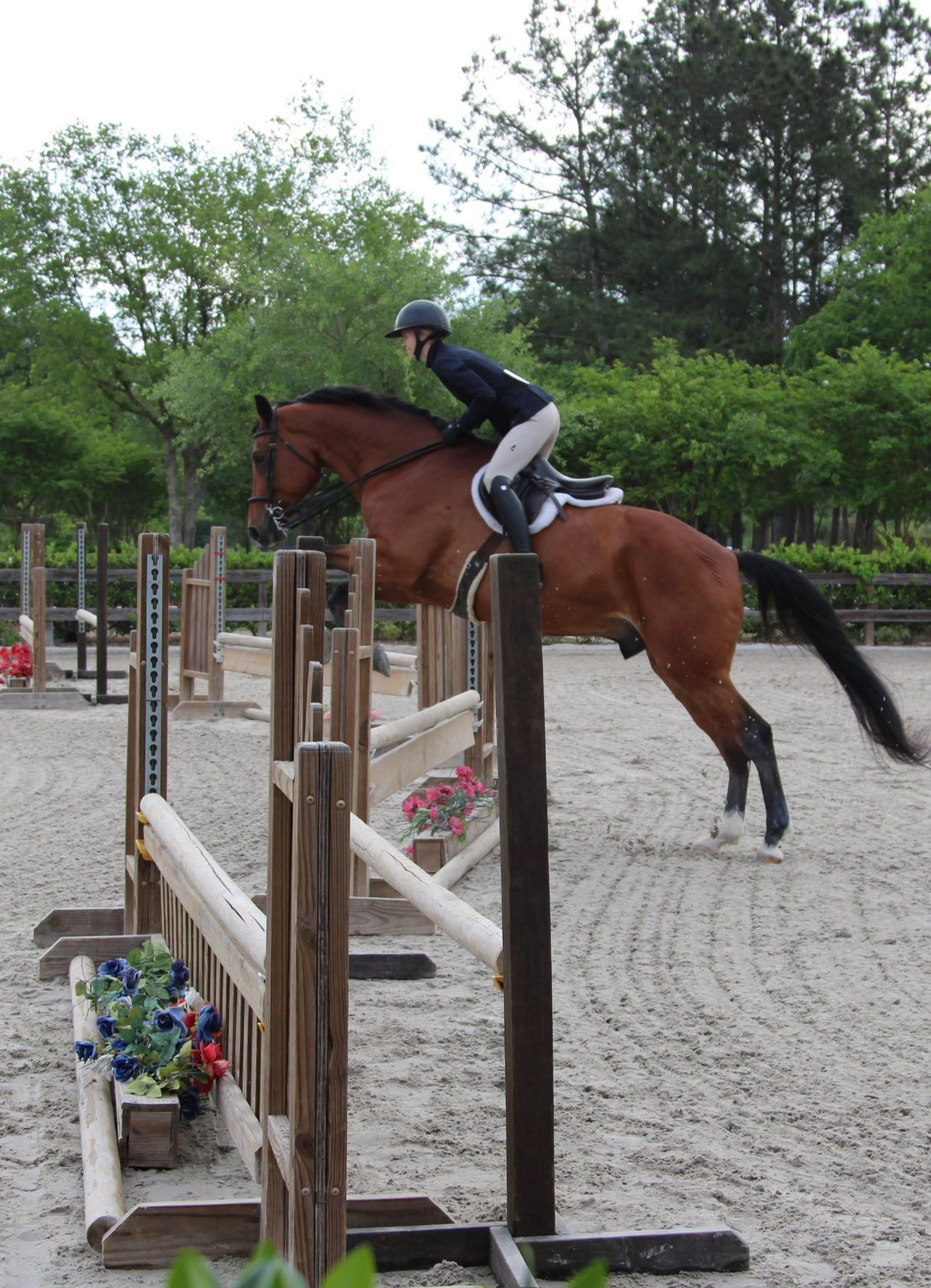 A rider in formal gear jumping a bay horse over an outdoor wooden fence in an arena.