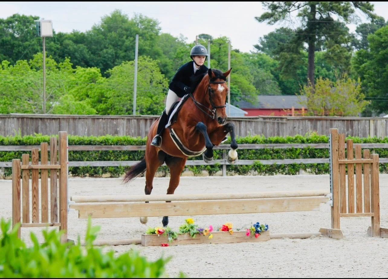 A rider in English show attire jumping their brown horse over a wooden fence in an outdoor arena.