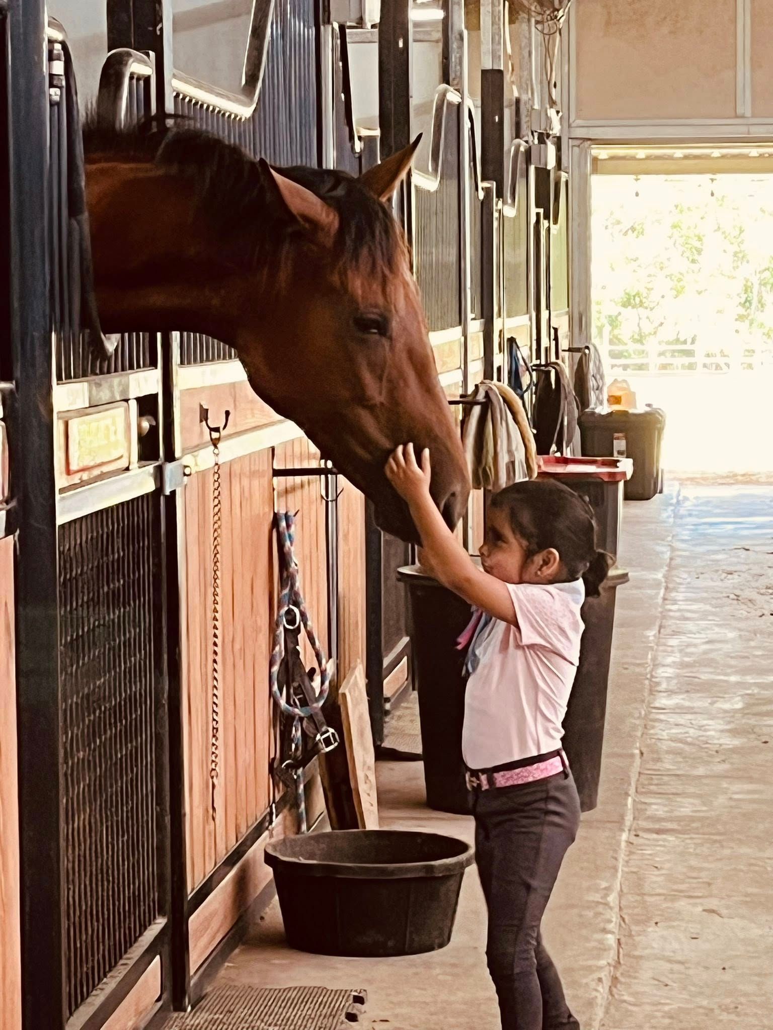 A child reaches up to gently touch the muzzle of a brown horse leaning out from its stable stall in a barn.