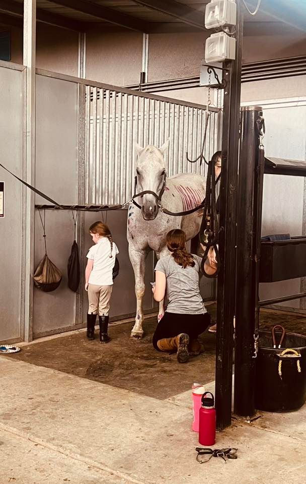 Two people in a stable area care for a white horse standing in a stall.