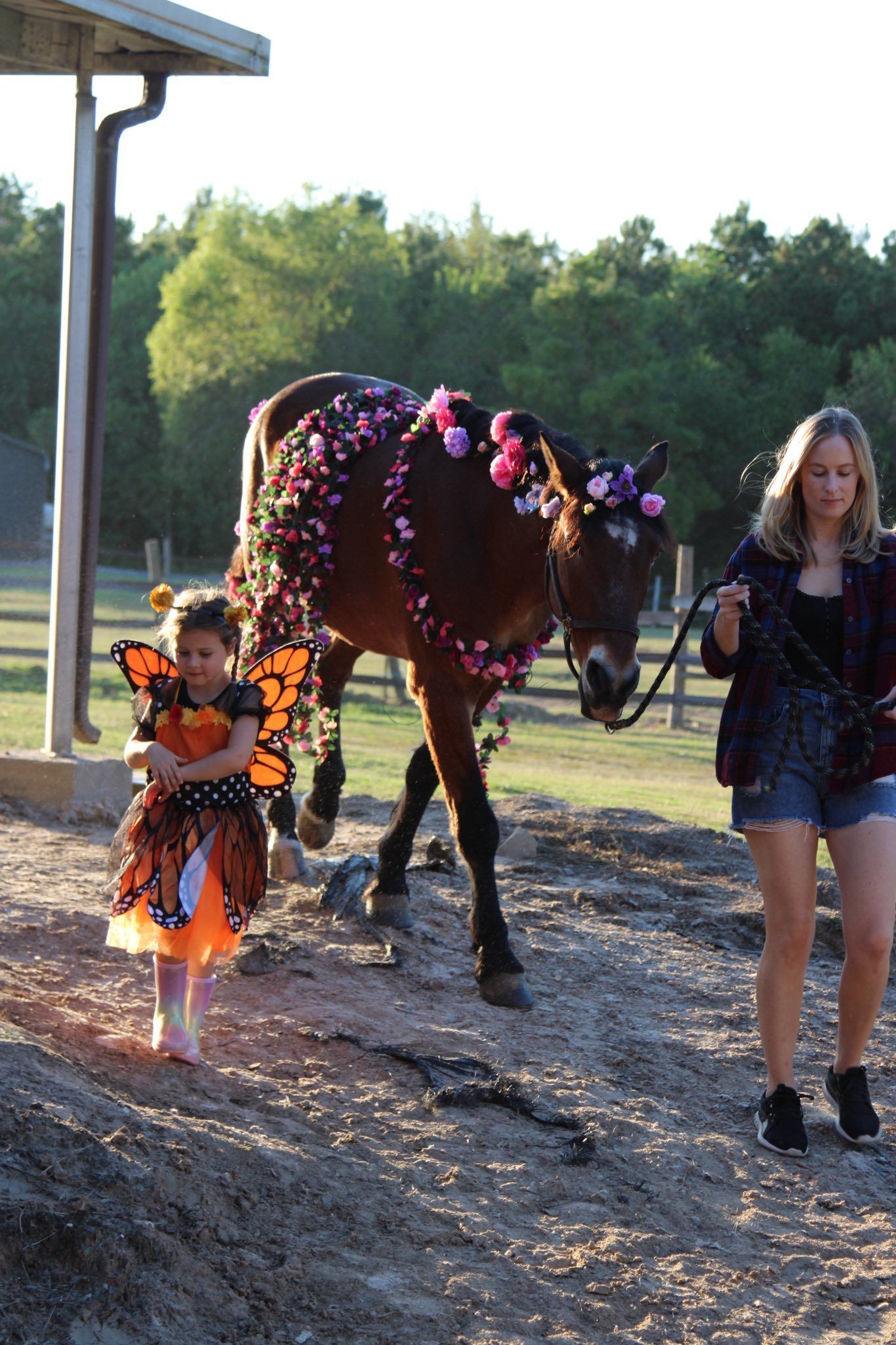 A child in a butterfly costume and a person lead a brown horse decorated with garlands of pink and purple flowers.