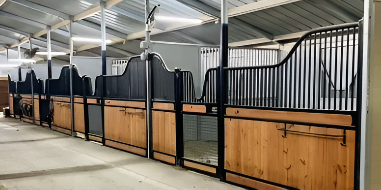 A row of horse stalls with wooden lower walls and black metal bars in a stable with a concrete floor.