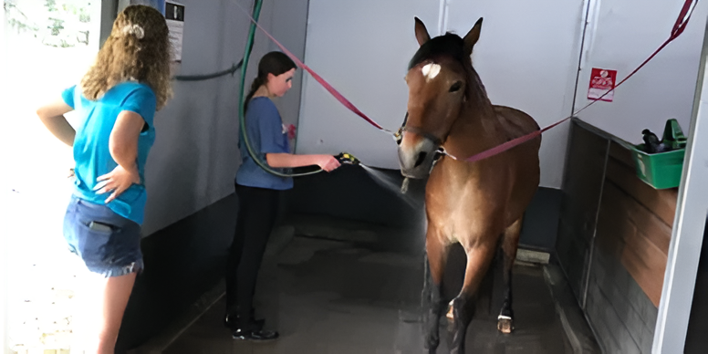 Two people in a grooming stall, one using a hose to spray water onto a brown horse with a white star on its forehead.