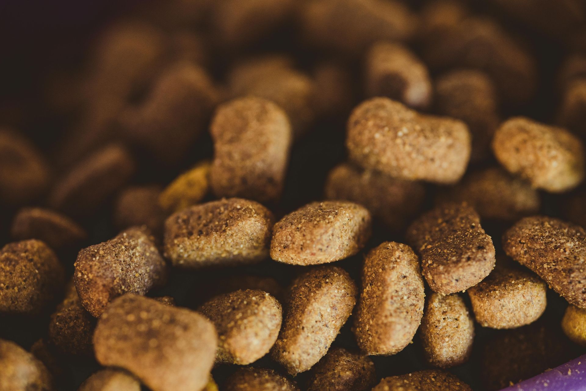 A close-up, high-angle shot of a pile of brown, dry, oval-shaped pet food kibble.