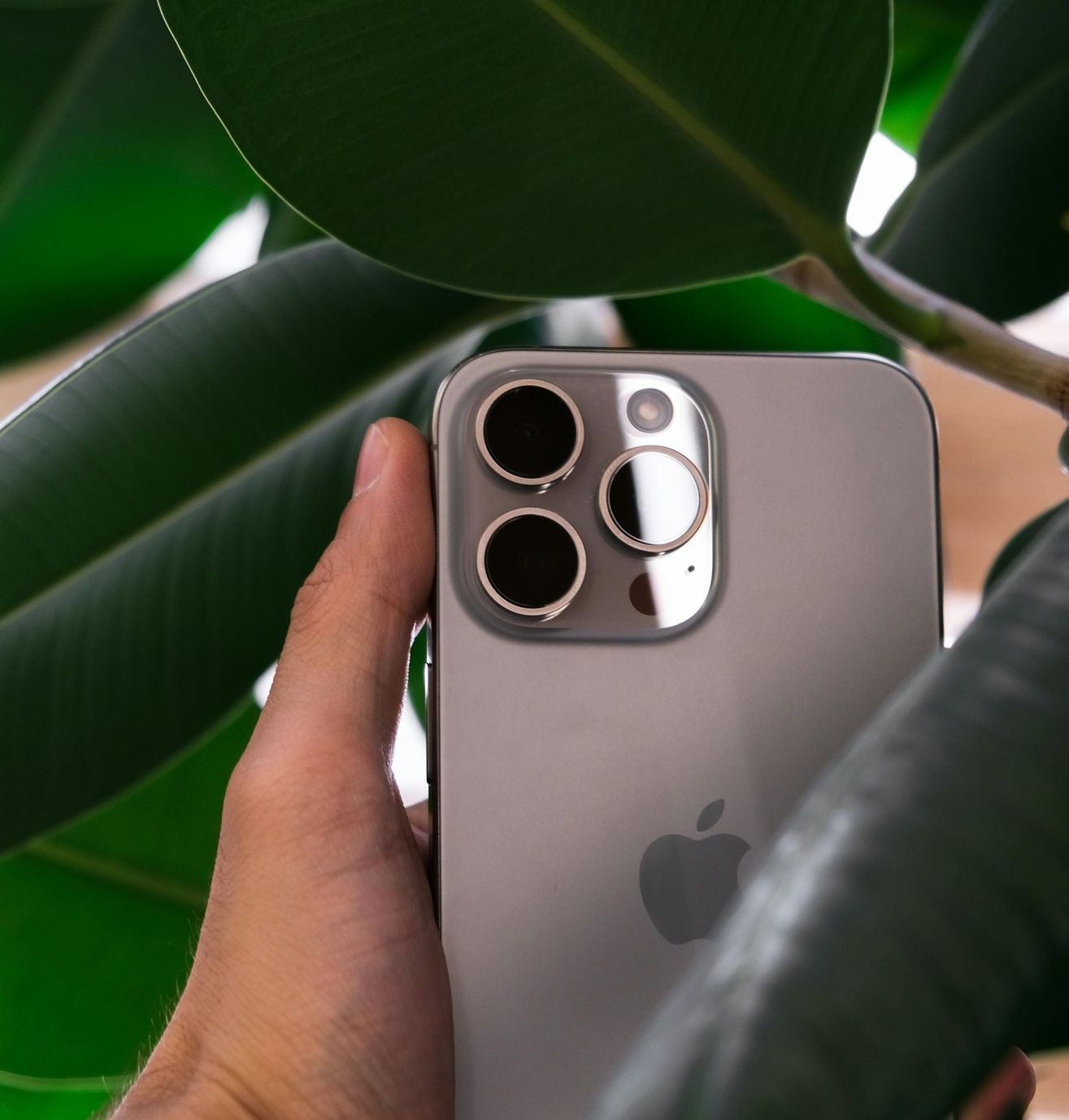 Una persona tiene in mano un iPhone