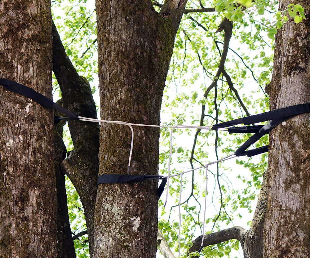 Trees With Cable