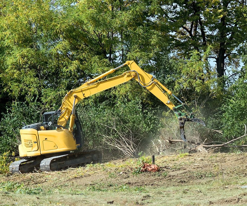 Site Clearing