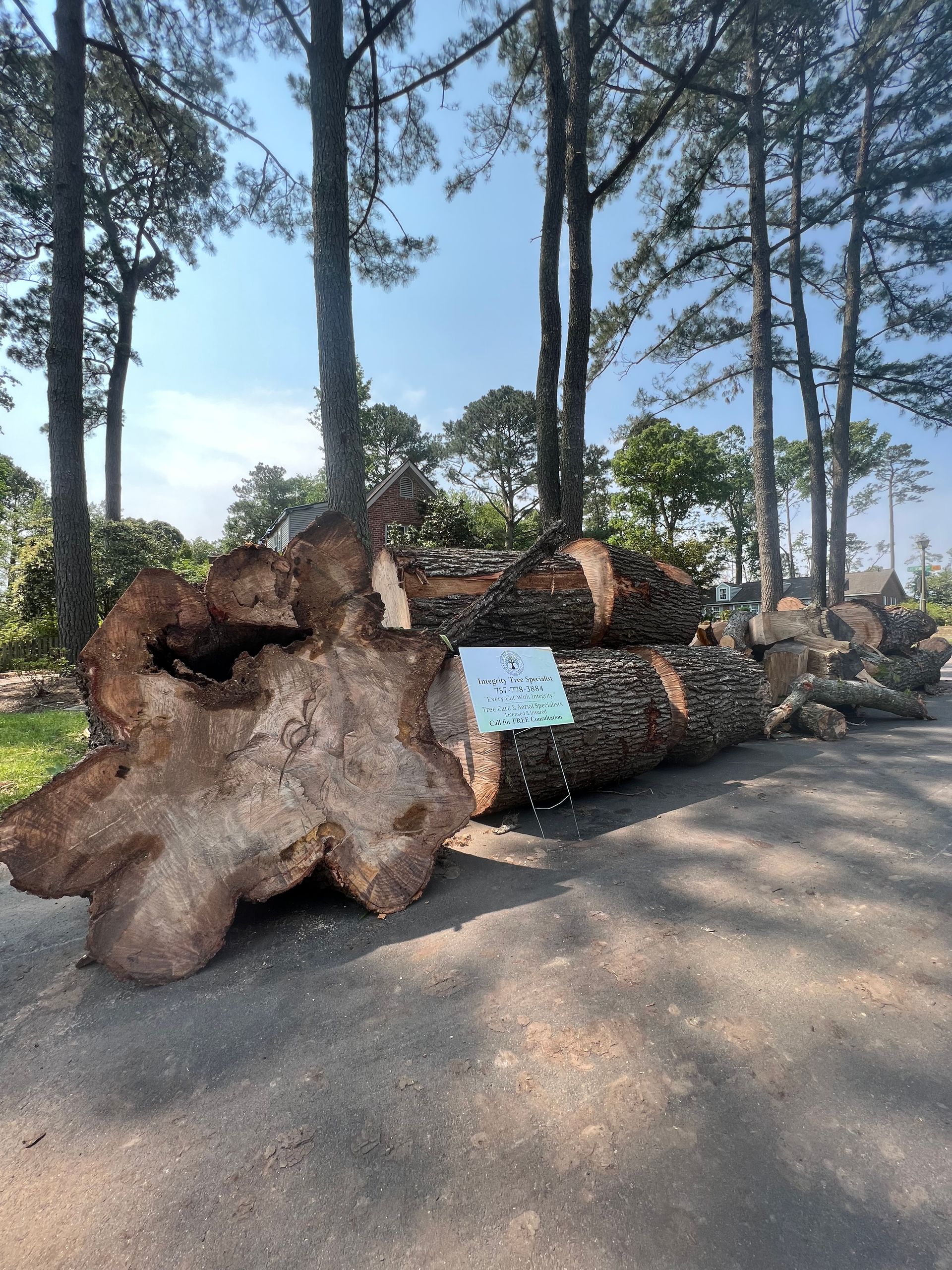 A large piece of wood is sitting in the middle of a forest.