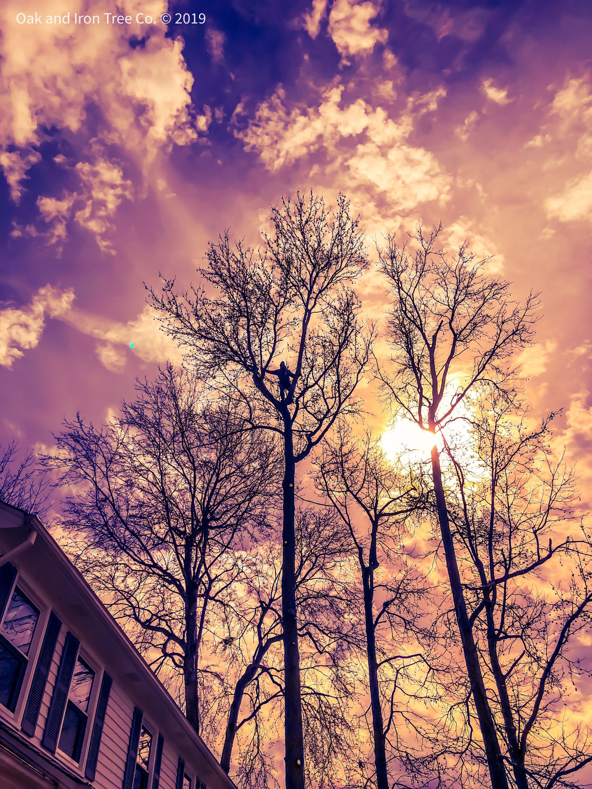 A sunset with trees in the foreground and a house in the background