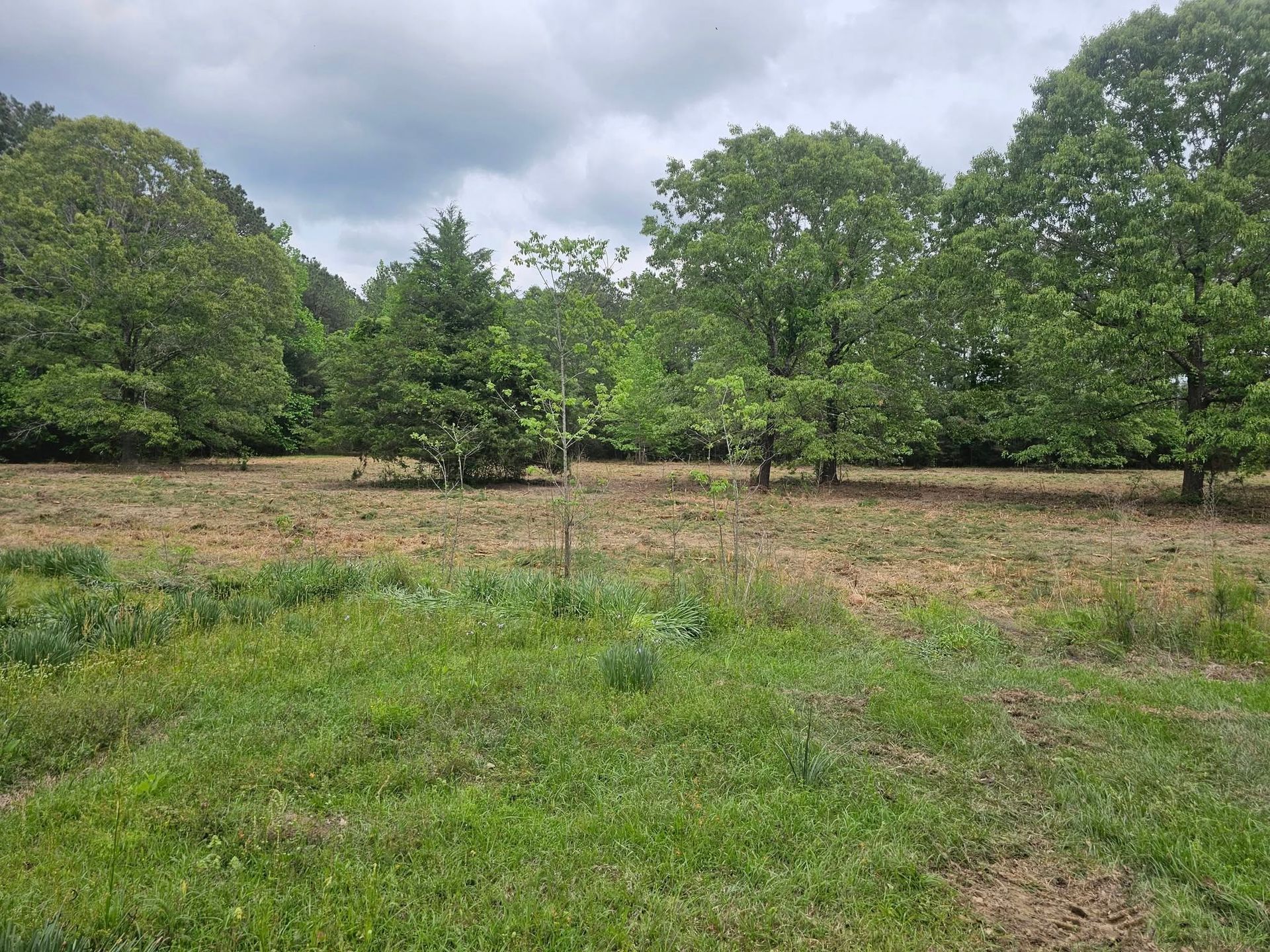 A large grassy field with trees in the background on a cloudy day.