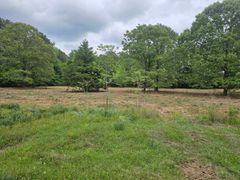 A large grassy field with trees in the background on a cloudy day.