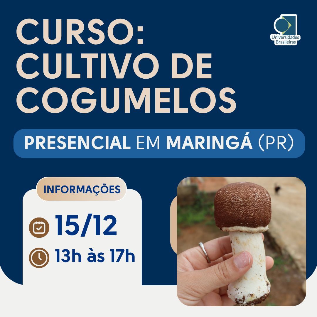 Maringá/ PR- Curso presencial