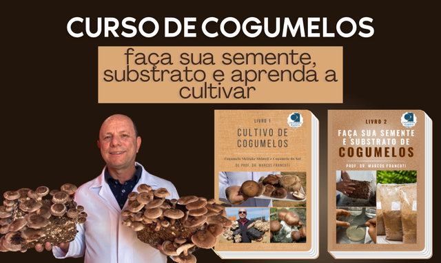 Prefeitura promoverá curso de cultivo de cogumelo Shitake - Itapecerica da  Serra