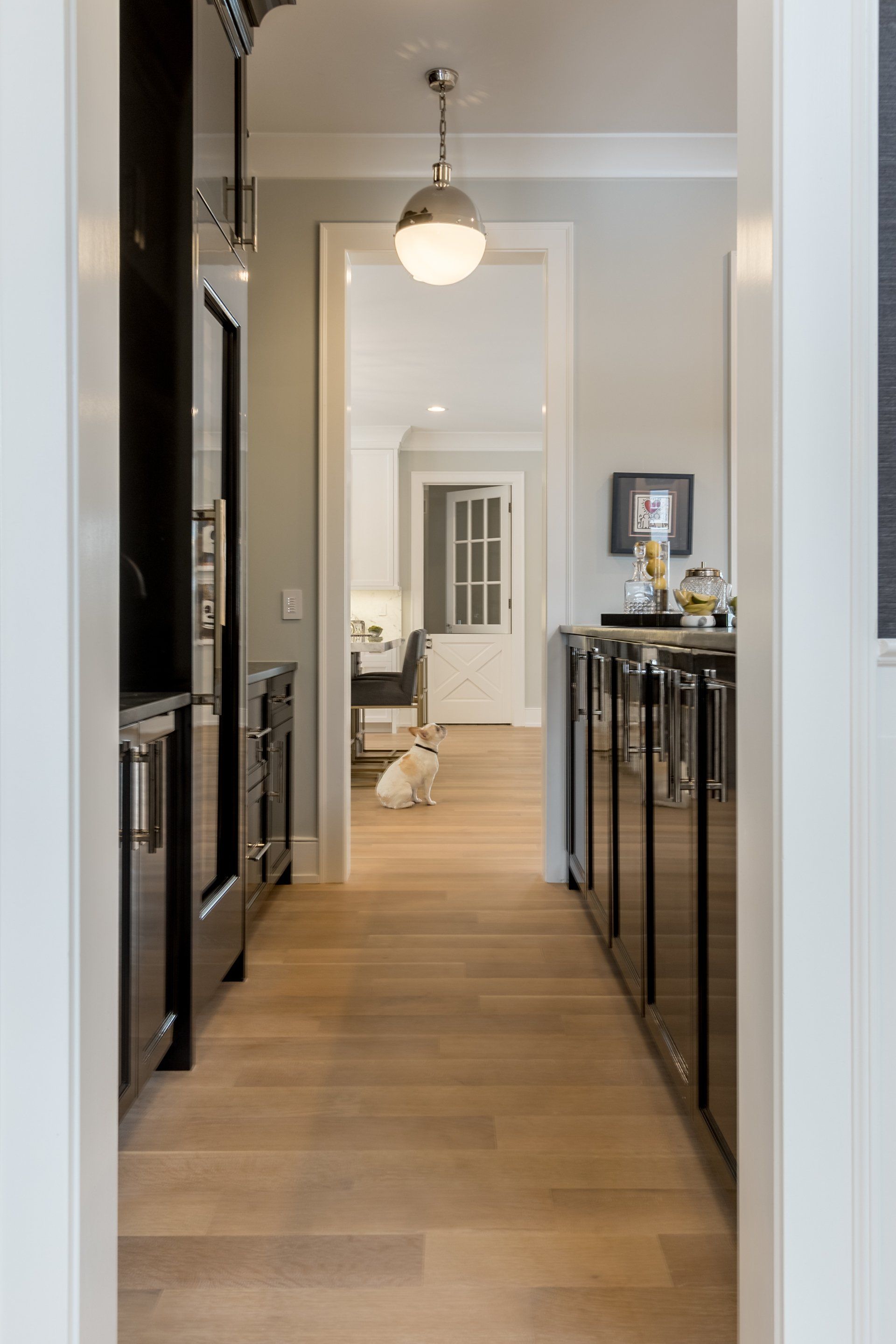 A dog is standing in a hallway leading to a kitchen.