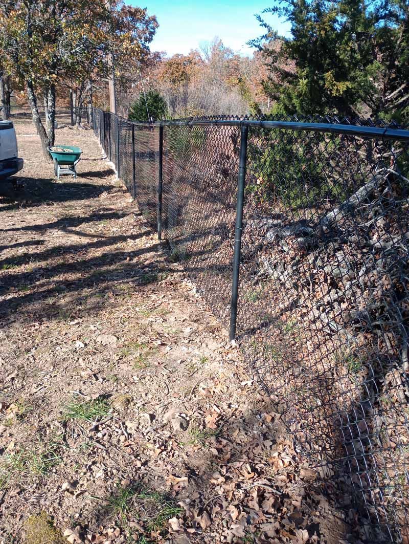 Black chain-link fence in a yard with fallen leaves and trees in the background. Sunny day.