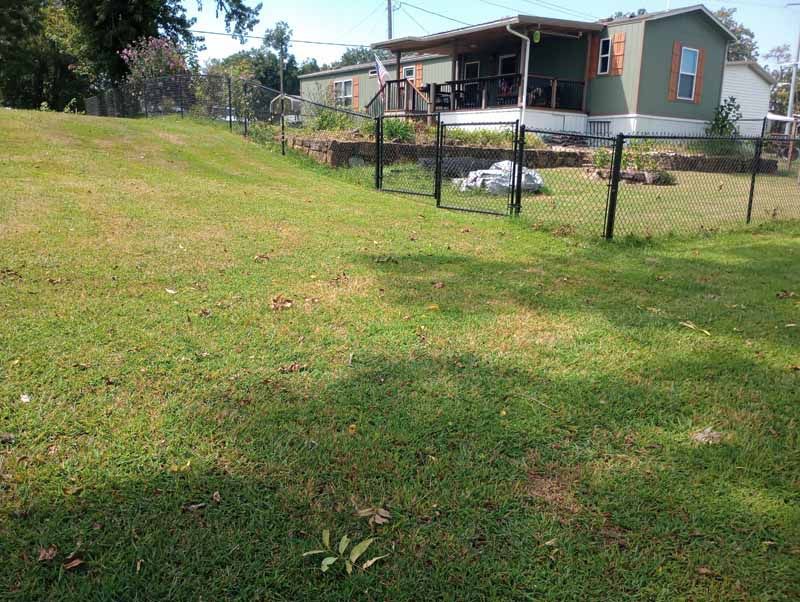 Green lawn slopes up to a house with a chain-link fence.