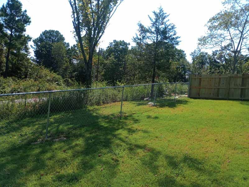 Chain-link fence borders a grassy yard, trees in the background under a bright sky.