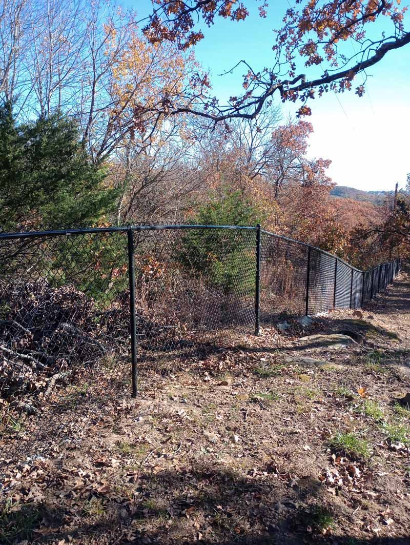 Black chain-link fence bordering a wooded area with fall foliage under a clear sky.