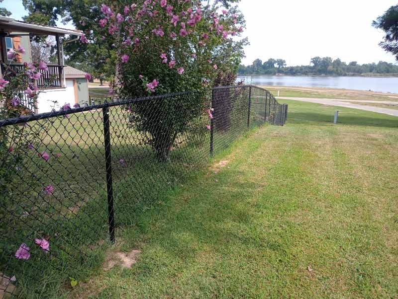 Black chain-link fence bordering a grassy area with flowering bush, leading to a lake.